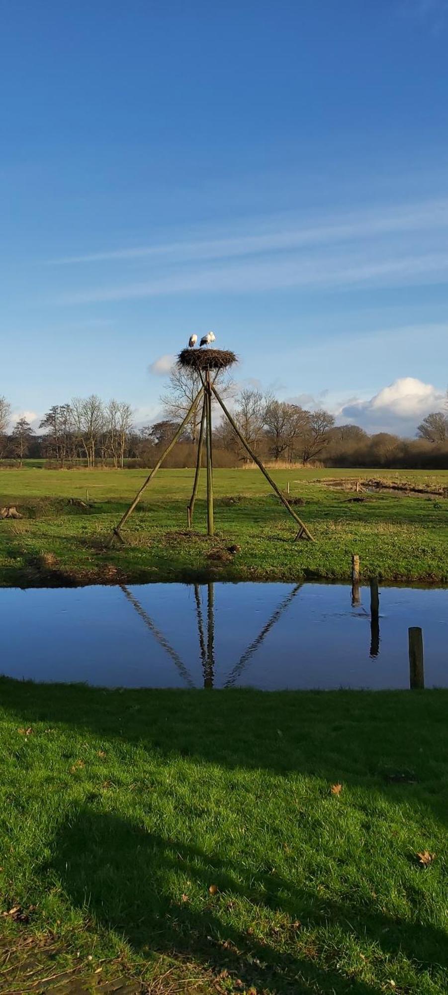 Boerderijtje Villa IJhorst Eksteriør billede