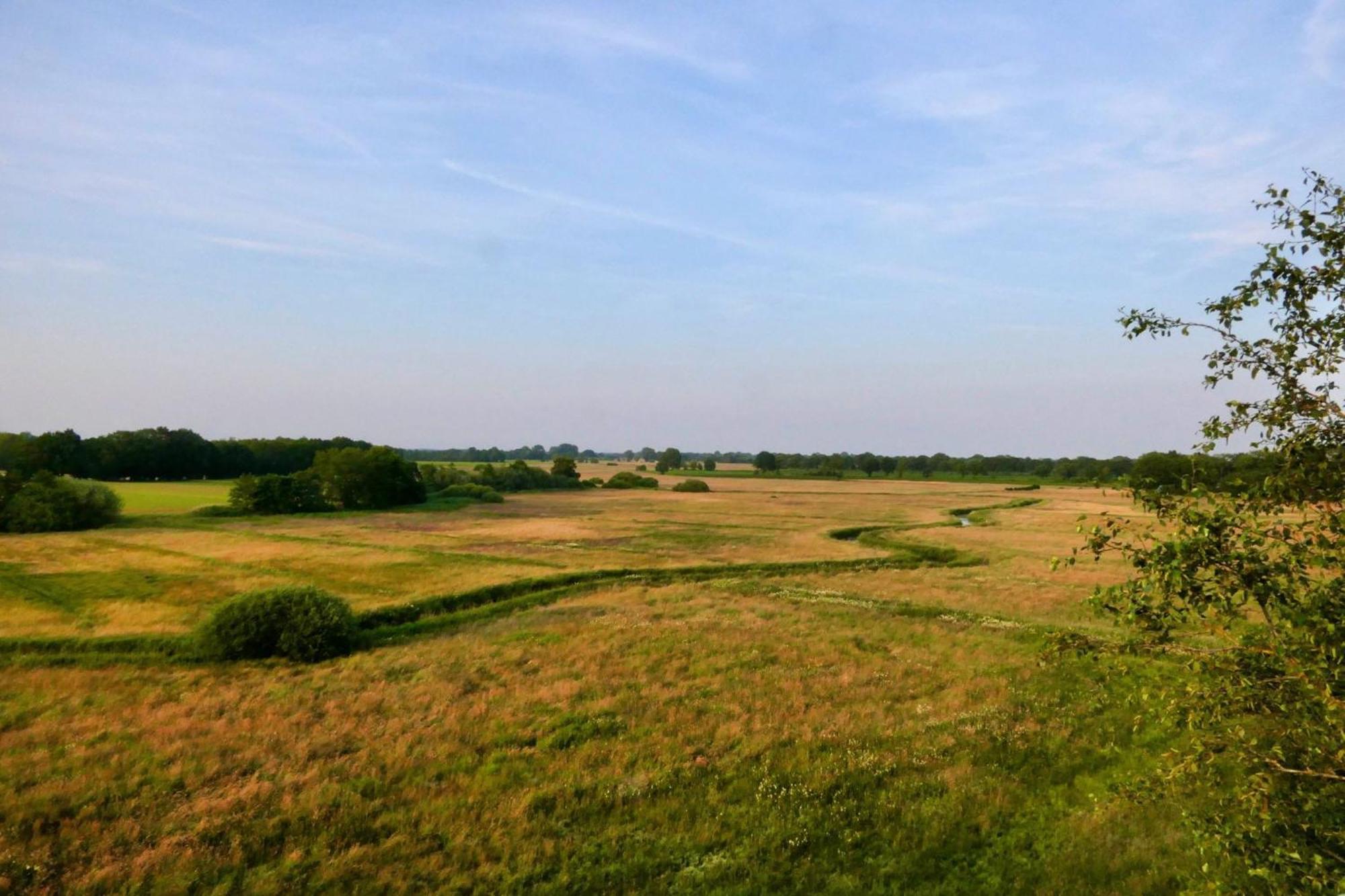 Boerderijtje Villa IJhorst Eksteriør billede